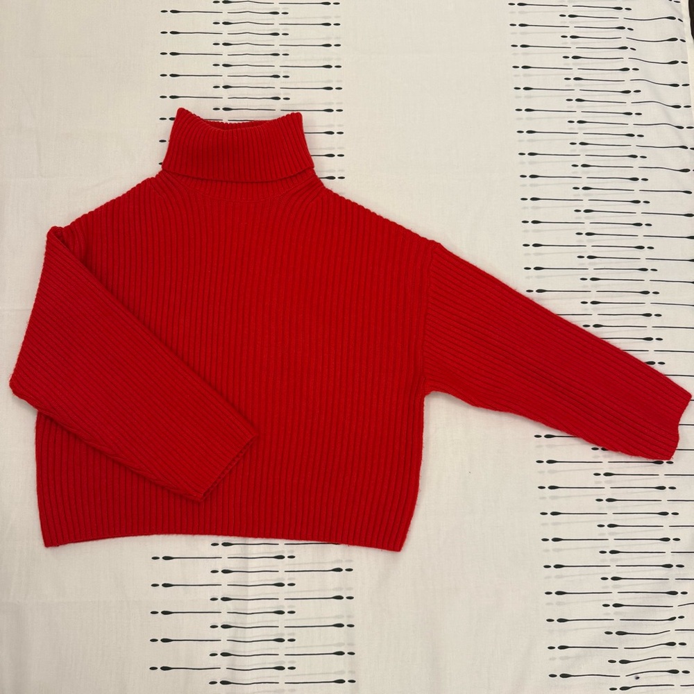 H&M Red Turtleneck or Cowl Neck Sweater